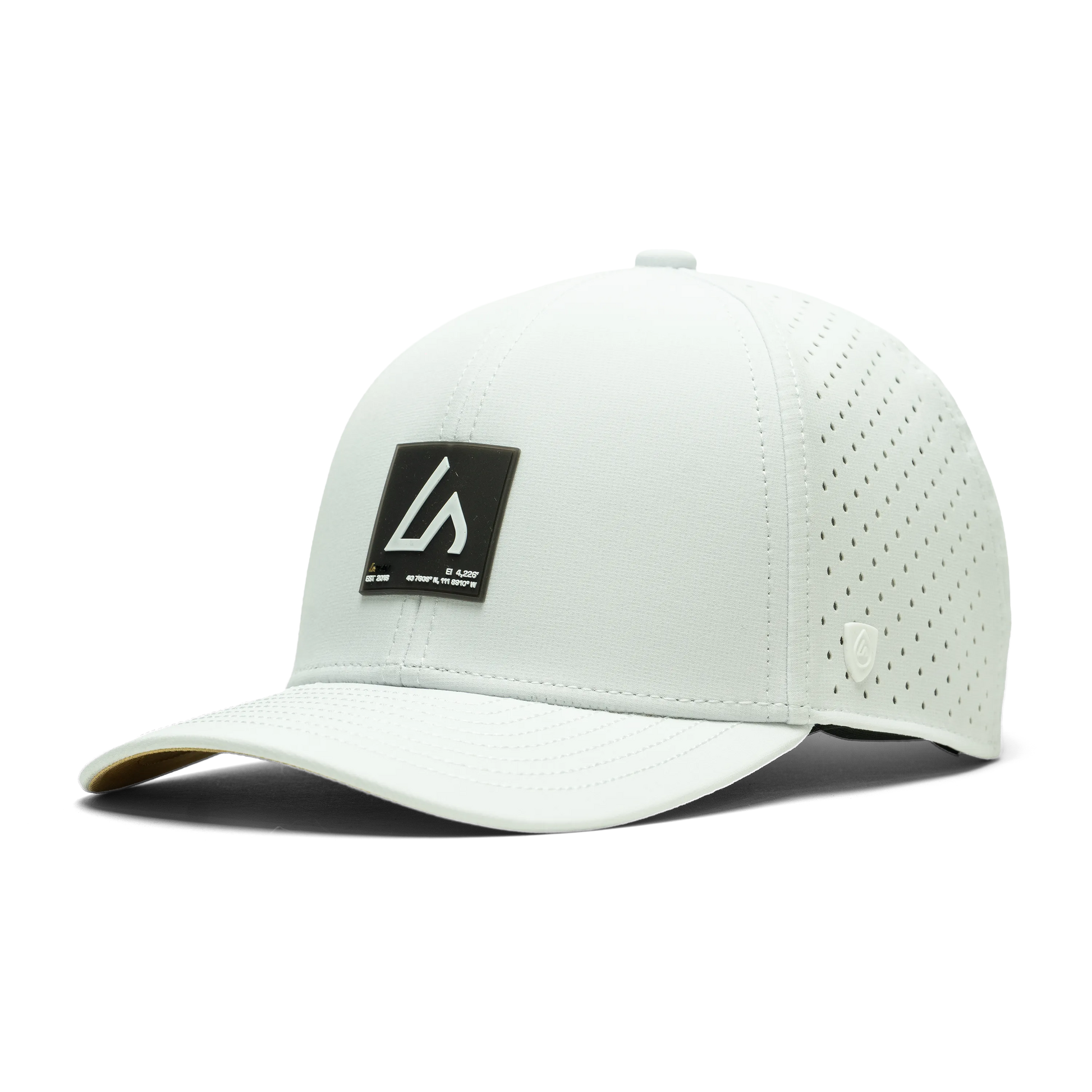 Endurance - White / Black Waypoint