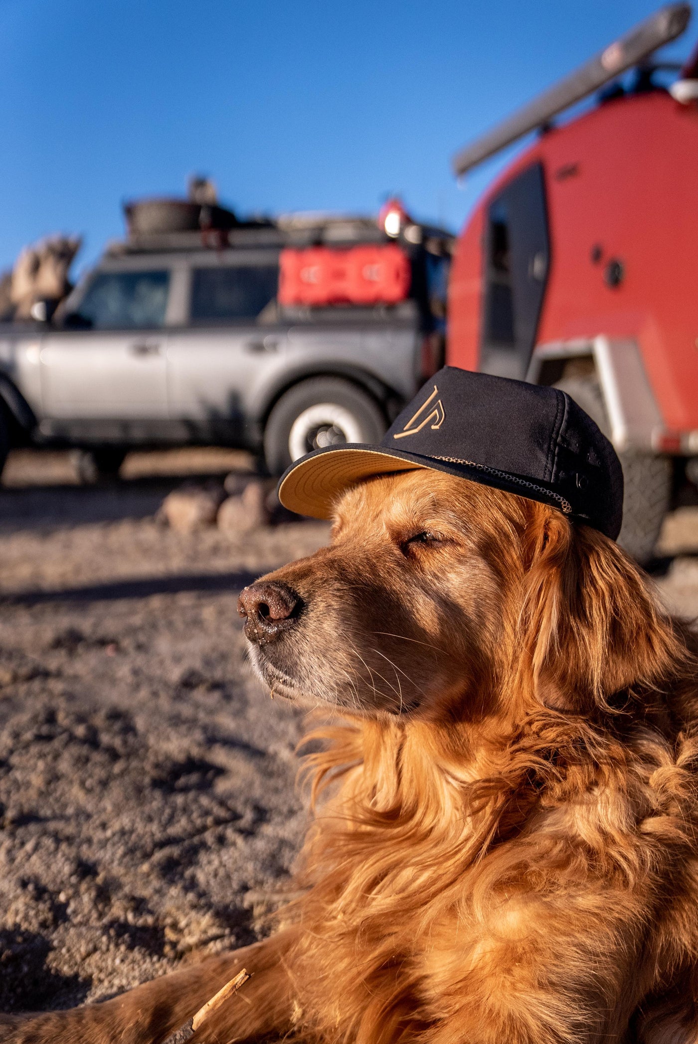 A golden retriever dog wearing a black Suay cap with a gold logo rests outdoors, with blurred off-road vehicles and a red camper under a sunny blue sky.