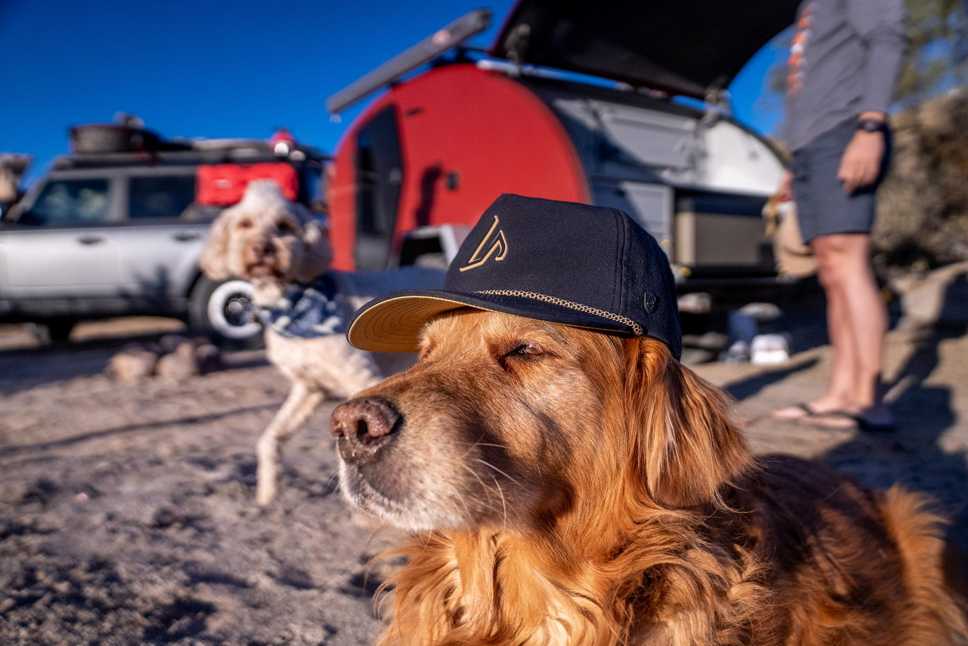 A golden retriever dog wearing a navy Suay Drift hat with rope detail, looking out confidently against a blurred outdoor camping scene with a vehicle and camper.